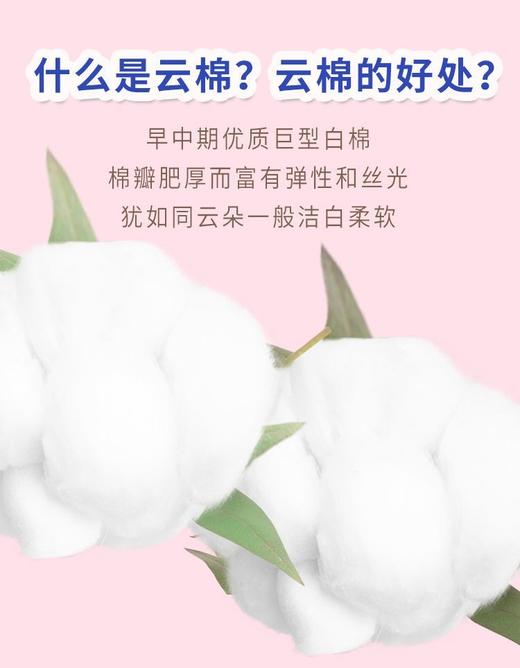 1F超市 Cottonday/绵柔时光亲肤绵柔日用卫生巾 商品图6