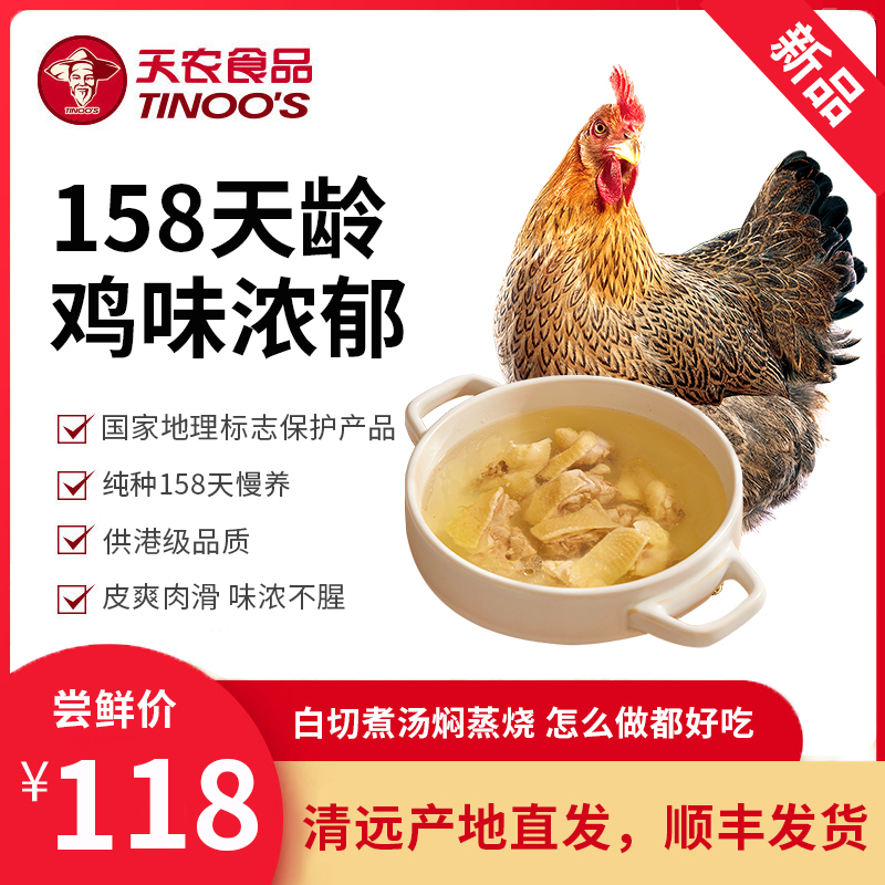 天农158清远鸡1kg 供港品质农家散养正宗广东清远鸡