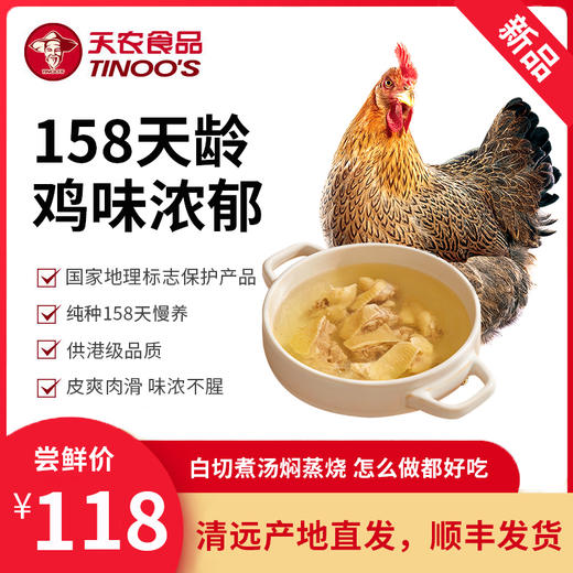 天农158清远鸡1kg 供港品质农家散养正宗广东清远鸡 商品图0