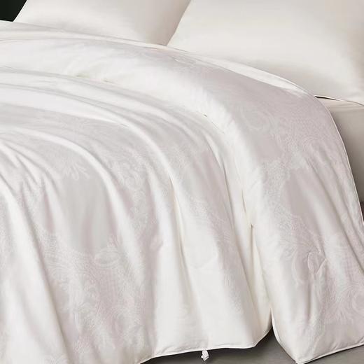 【春上新】10楼 恐龙 伊塞尔全棉提花桑蚕丝被-春秋 吊牌价6880元 活动价999-1299元 商品图1