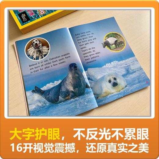 美国国家地理英语分级读物系列 商品图4