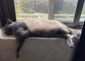 字绿测试电子卡券【勿动谢谢】批改