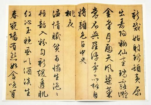 彩色放大本特辑：《文徵明书法精粹》，8开，全6册，函套装，孙宝文编，上海辞书2016年版，定价220元，售价118元。函套可能有破损，书品完好。

本系列底本好，印制精，大8开，为彩色放大本，并延请专 商品图10