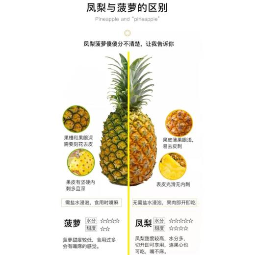 【脆甜爽口 肉质紧实】【海南南采金钻凤梨】菠萝水果 皮薄肉厚，清甜多汁 商品图7