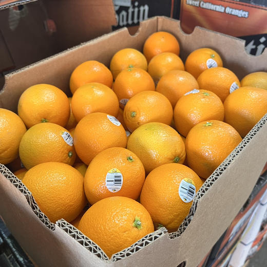 新奇士金标4013纯甜化渣无籽出汁率高橙香浓郁