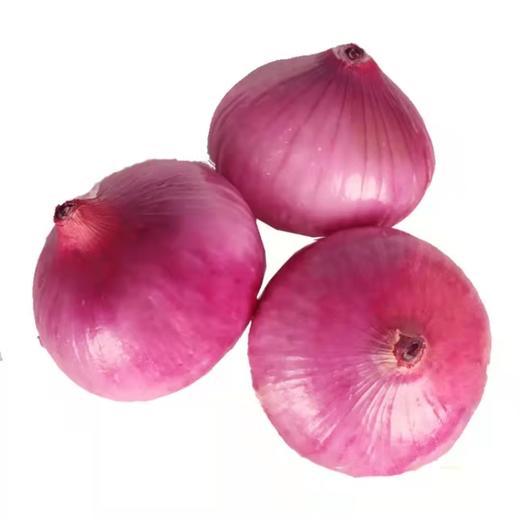 紫皮洋葱 商品图0