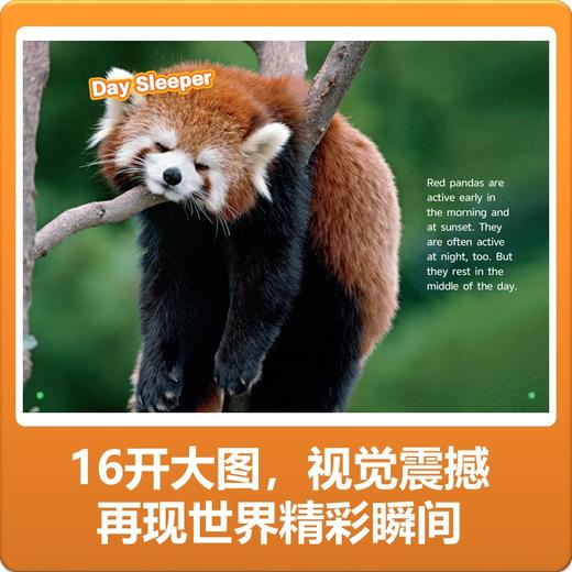 美国国家地理英语分级读物系列 商品图5