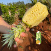 【脆甜爽口 肉质紧实】【海南南采金钻凤梨】菠萝水果 皮薄肉厚，清甜多汁 商品缩略图4
