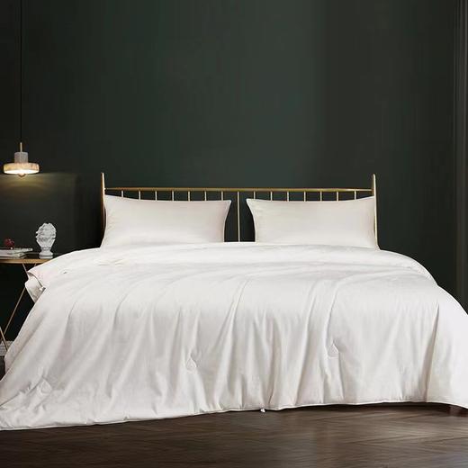 【春上新】10楼 恐龙 伊塞尔全棉提花桑蚕丝被-春秋 吊牌价6880元 活动价999-1299元 商品图0