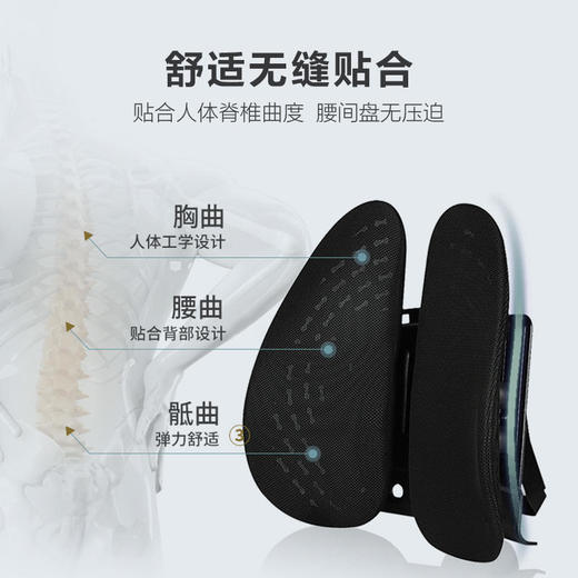 【斩获专利！告别腰酸背痛】NOXELES人体工学腰靠，告别腰酸背痛，缓解腰肌疲劳，矫正坐姿！ 商品图2