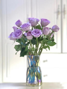 单支紫玫瑰（所有单支花材100块钱起卖不含包装花瓶）