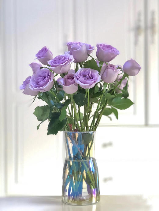 包月单支玫瑰颜色任选不含包装花瓶 商品图6