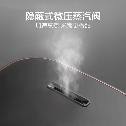 苏泊尔（SUPOR）电饭煲 智能预约煮粥锅 IH电磁加热 球釜内胆电饭锅4-6人 SF40HC32（线下同款） 商品图5
