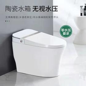 2210BT 智能马桶