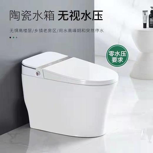 2210BT 智能马桶 商品图0