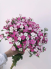 单支相思梅（所有单支花材100块钱起卖不含包装花瓶） 商品缩略图0
