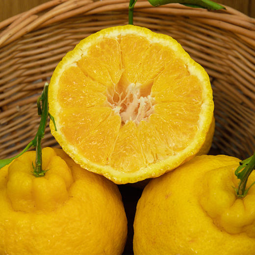 【柠檬不知火】| 元和优选 四川京东包邮  清脆柔嫩 5斤/8斤大果彩箱装 商品图1