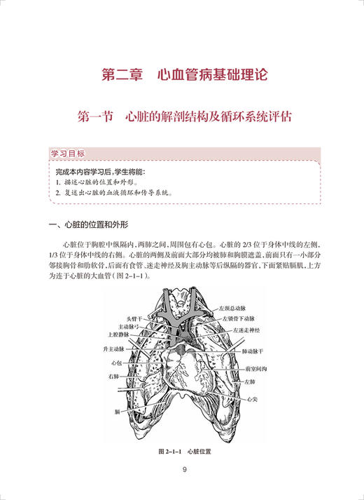 中华护理学会专科护士培训教材 心血管专科护理 李庆印 童素梅 主编 患者护理计划家属沟通指导 人民卫生出版社9787117325653 商品图4