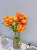 单支橘色洋牡丹（所有单支花材100块钱起卖不含包装花瓶） 商品缩略图2