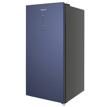 海信135L风冷无霜立式冷柜BD-135WZKJ/HX 商品图0