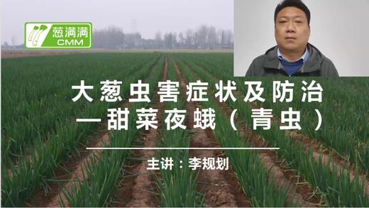 大葱虫害防治——青虫 商品图0