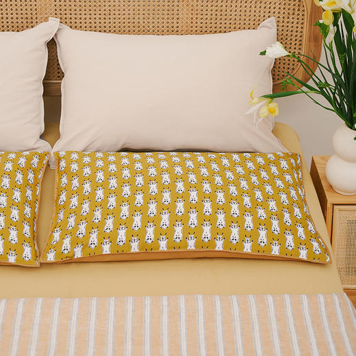 卡通系列单人荞麦枕头 商品图1