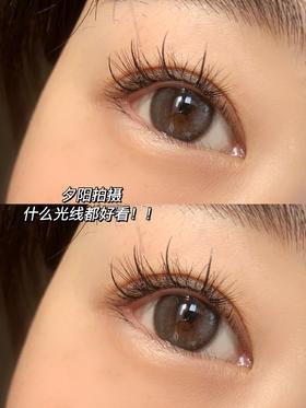 （年抛）Doriscon Pro+ 枫丹白露 14.2mm 染色13.2mm