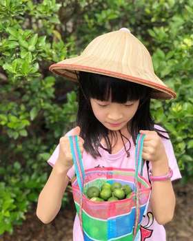 春夏刚需！被列入台湾教科书，红遍日本的果汁，终于来了！