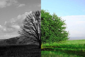 老话说“肺虚则气衰”，那么肺气虚是什么原因造成的呢?