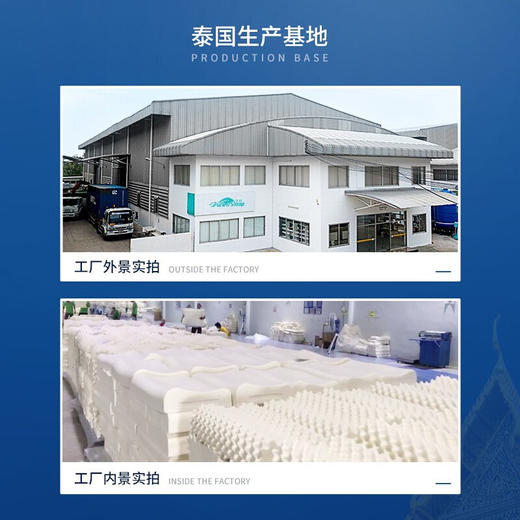 天然乳胶枕 高低按摩枕 商品图5