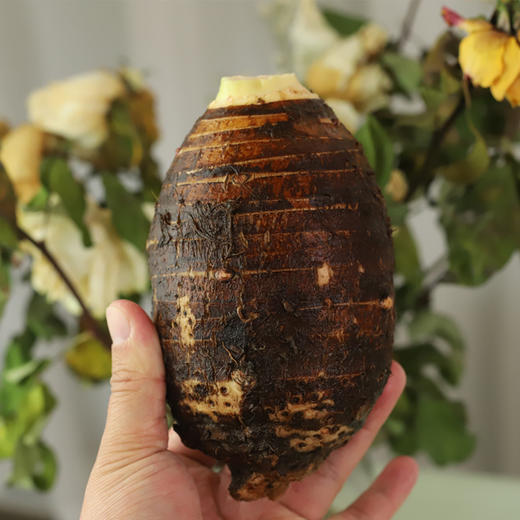 荔浦芋头  皇室贡品  绵软柔滑软糯让您入口停不下来 5斤大果装包邮到家 商品图2