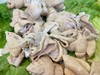 鹅肠 商品缩略图0