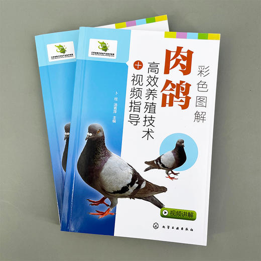 彩色图解肉鸽高效养殖技术+视频指导 商品图1