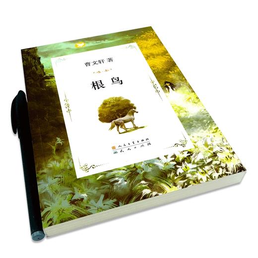 根鸟   5年级经典推荐正版现货速发|名师推荐|小学生课外阅读五年级 商品图3