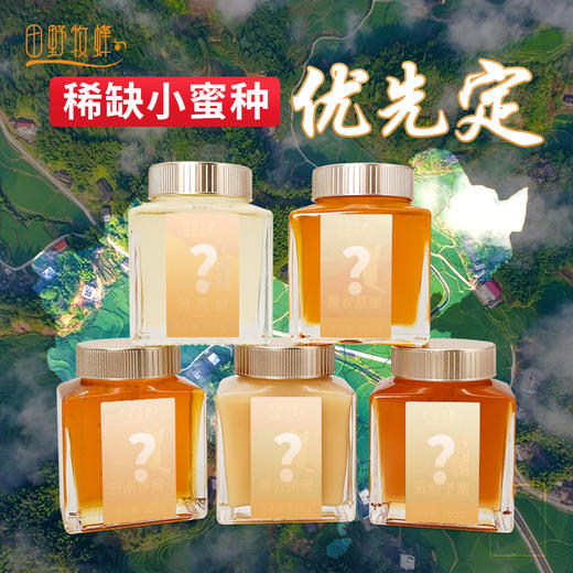 田野牧蜂【年卡】优先畅享小蜜种  金奖品质   24瓶 商品图2