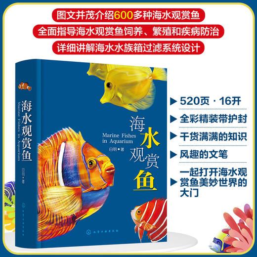 海水观赏鱼 商品图0