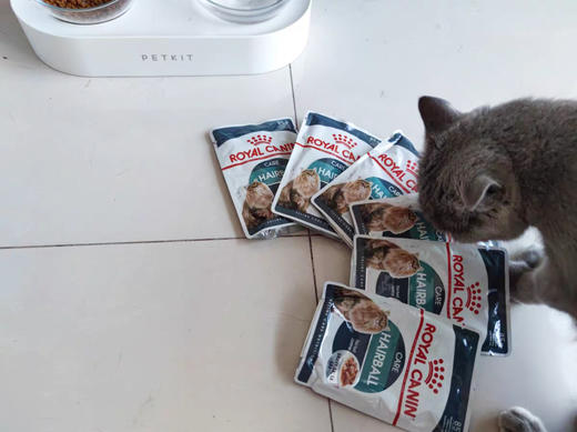 皇家室内成猫全价粮干粮0.4kg成年期去毛球猫粮湿粮（浓汤肉块）85g 商品图5