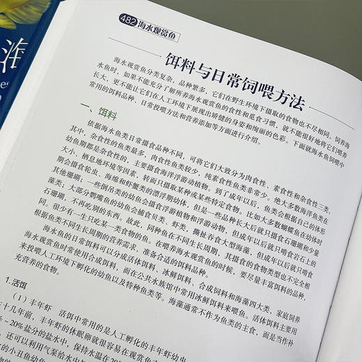 海水观赏鱼 商品图6