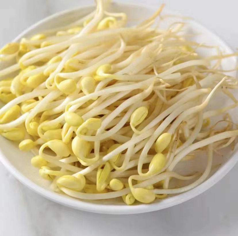 黄豆芽490g-510g