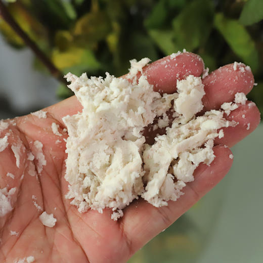 荔浦芋头  皇室贡品  绵软柔滑软糯让您入口停不下来 5斤大果装包邮到家 商品图5