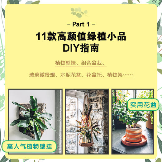 植物风格3 玩转绿植：植物装饰手作指南 商品图1