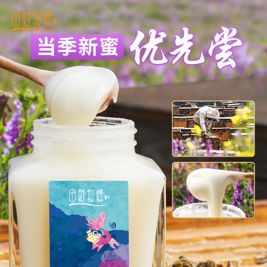田野牧蜂【年卡】优先畅享小蜜种  金奖品质   24瓶 商品图1