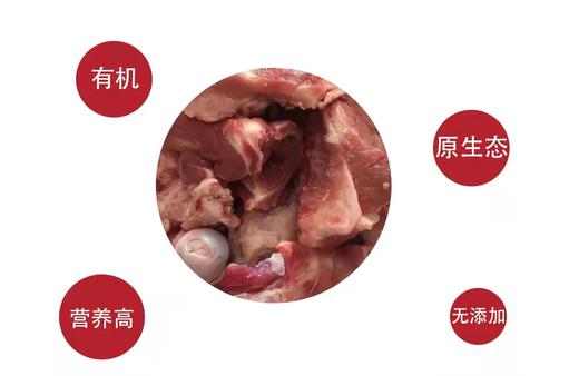 有机黑山猪筒骨3.5斤 商品图2