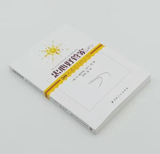 忠心好管家：50天通往自由之旅  R.斯科特·罗丁 商品图1