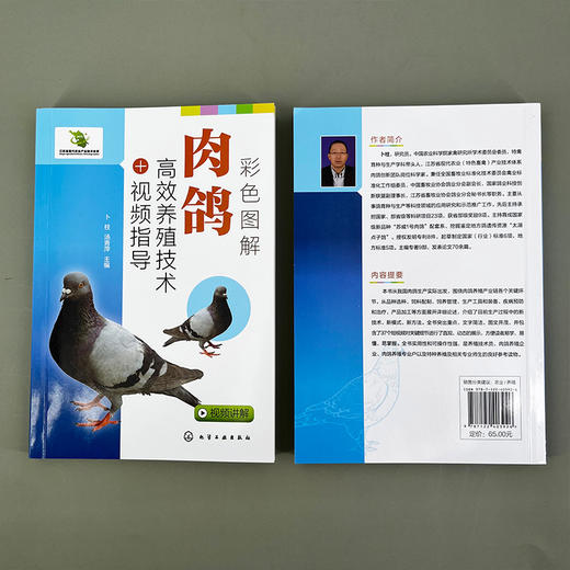 彩色图解肉鸽高效养殖技术+视频指导 商品图5