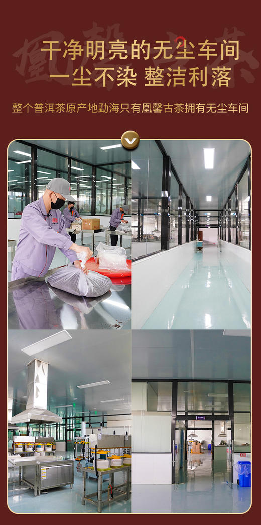 【2022年春茶预售】曼松贡茶古树纯料云南普洱茶饼生茶200g/饼 商品图9