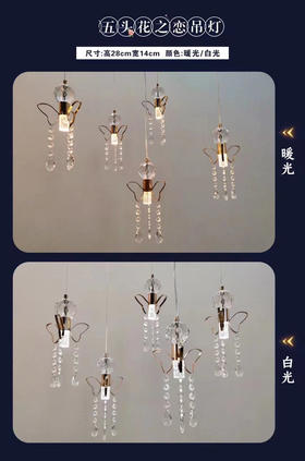 花之恋吊灯【运费自理】