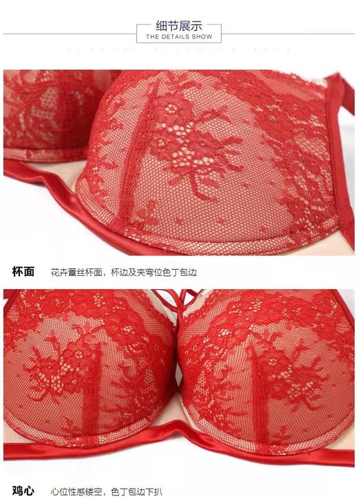 5F Embryform安莉芳 个性标签性感厚杯掌托聚拢蕾丝文胸 商品图3