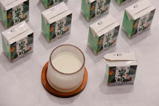 安牧山羊奶 商品图2