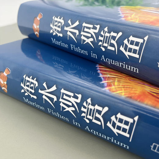 海水观赏鱼 商品图3